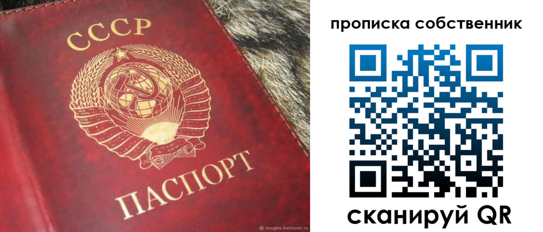 прописка в квартире в Гороховце